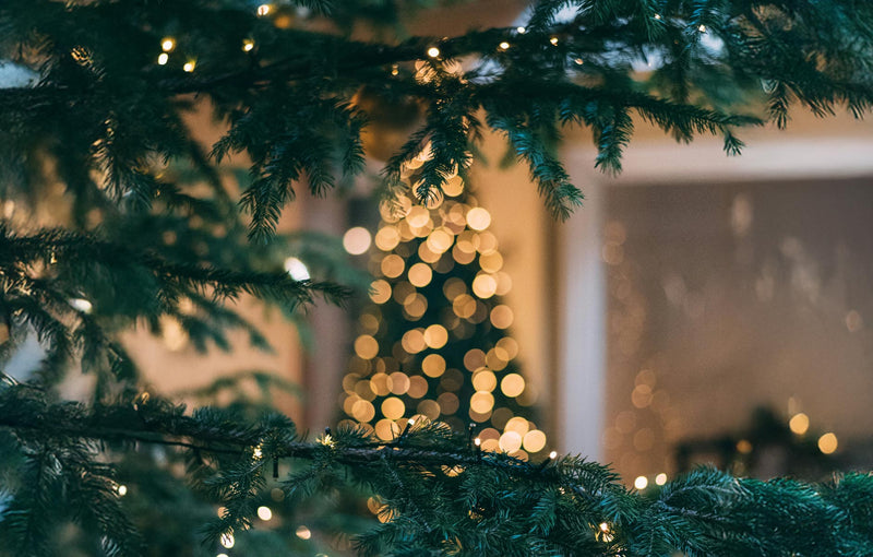 Enjoying the Christmas festivities with health and vitality