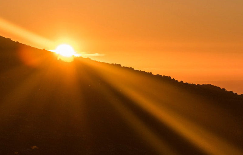 Intense Orange Morning Sun Rising Over Hillside