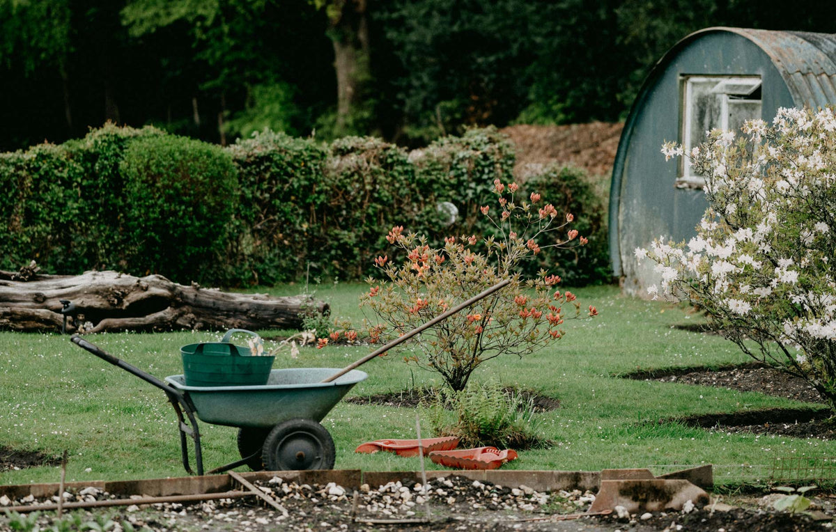 Wheel Barrow In Landscaped Garden With Green Metal Out Building
