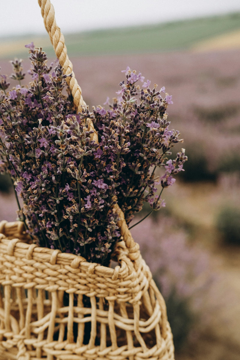 Smell and be well: essential oils and the brain